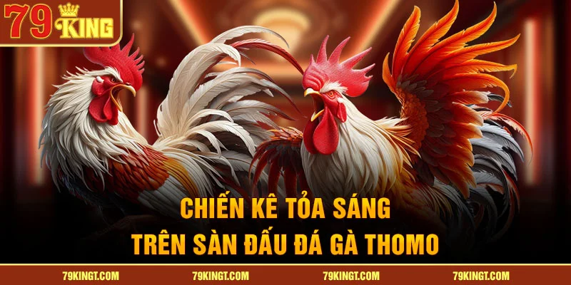 Chiến kê tỏa sáng trên sàn đấu Đá gà Thomo